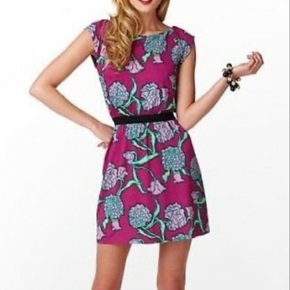 Lilly Pulitzer -Laney Hollyhock Pocket Full Of Posies Blouson Dress XS